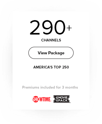 290+ Package
